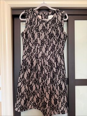 Sleeveless Black Lace Overlay A-Line Dress - Anthropologie HD in Paris